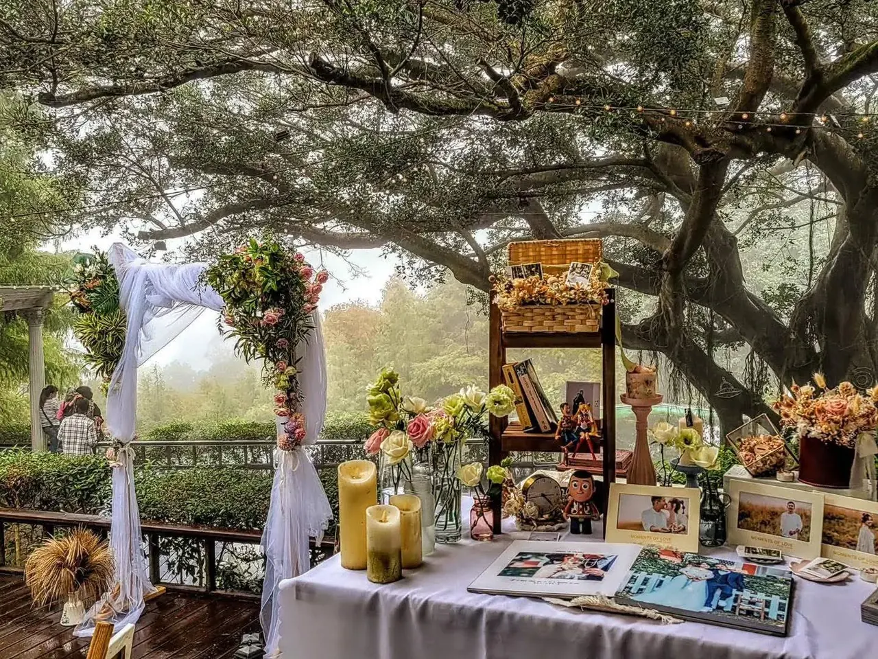 老樹證婚・收禮桌 真愛桃花源百年老樹下的證婚拱門與收禮桌,白紗與粉色花藝纏繞拱門,長桌陳列相框、蠟燭與簽名簿,樹冠垂下串燈