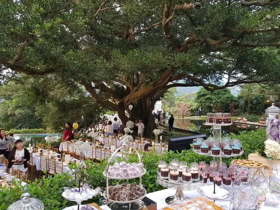 老樹下甜點宴 真愛桃花源百年老樹下的戶外宴席與甜點檯,多層點心架陳列杯裝甜點,長桌沿湖畔平台排開