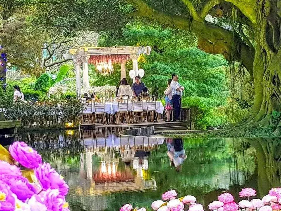 水上舞台儀式 真愛桃花源湖面水上舞台婚禮儀式,舞台以水晶吊燈與白紗佈置,四周老樹垂枝環抱,前景繡球花與舞台燈光一起映在水面
