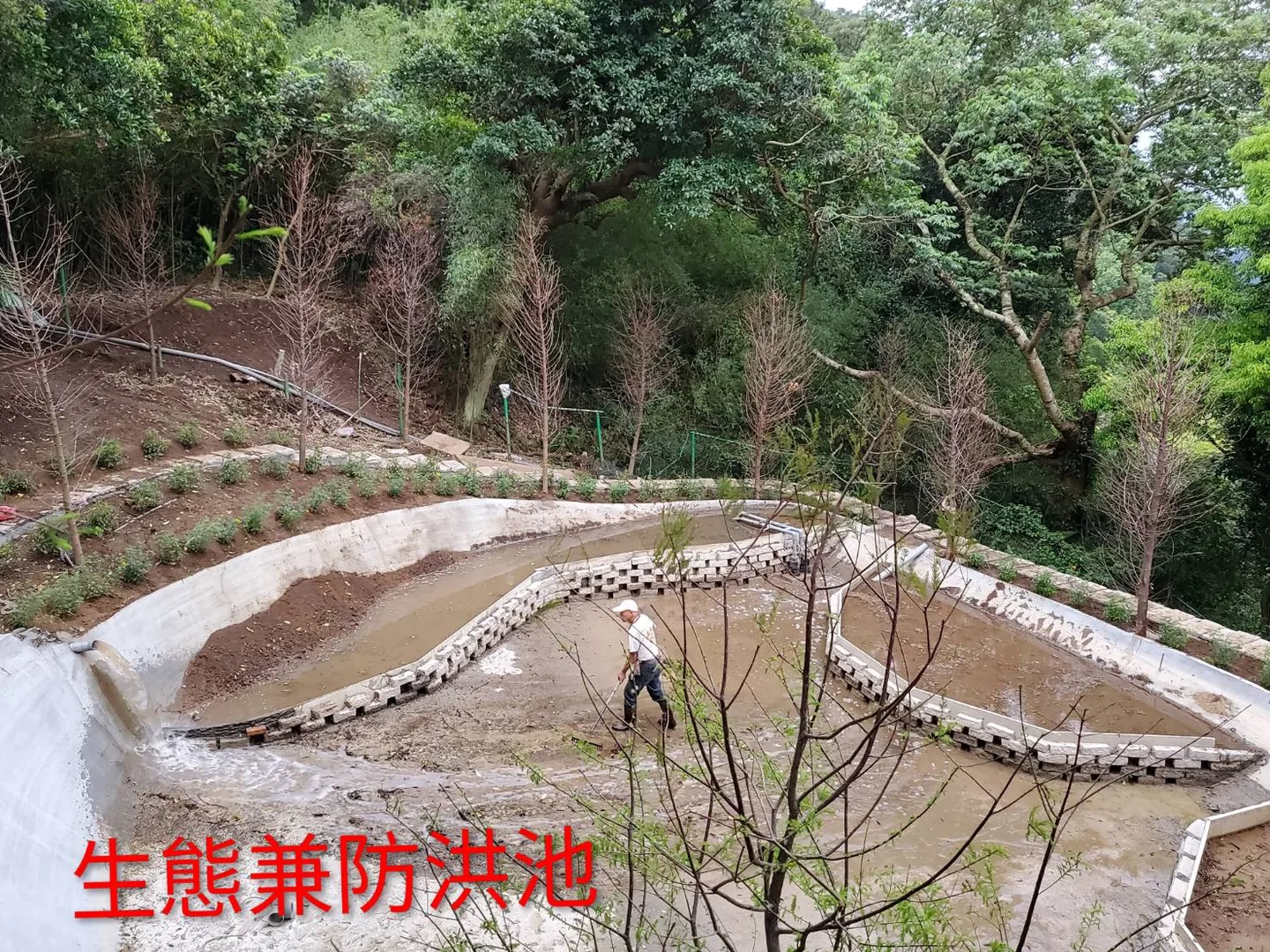 「生態兼防洪池」施工現場，混凝土池體與階梯狀護坡已成形，機具正在整平池底
