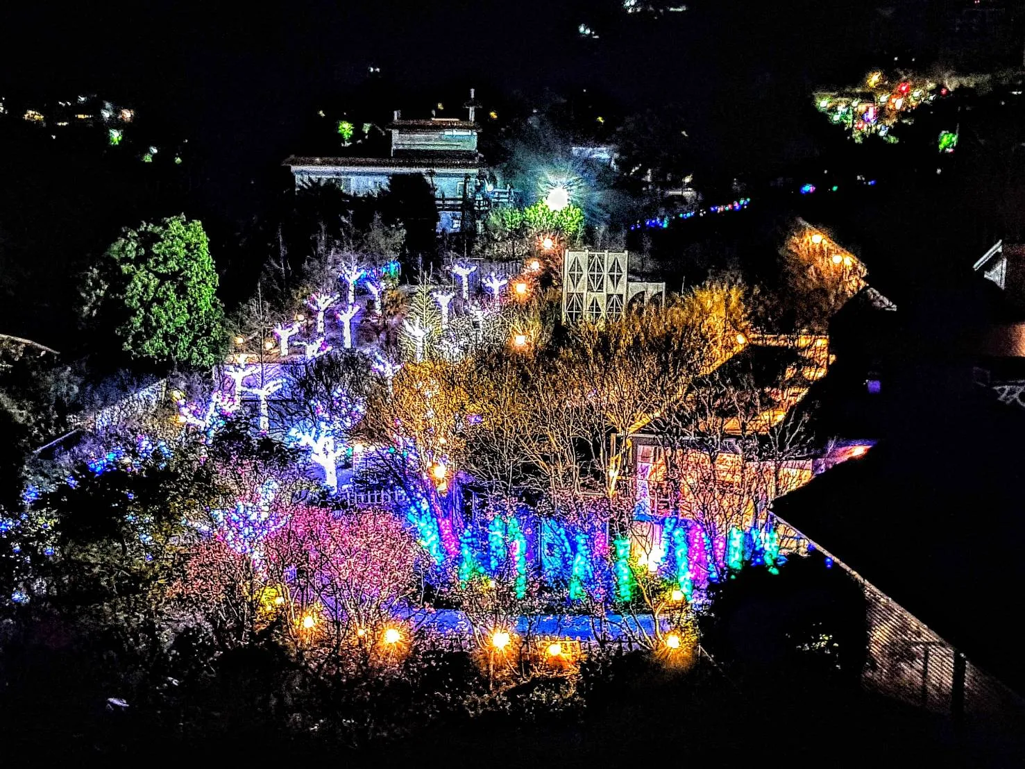 真愛桃花源夜景燈光 - 真愛桃花源活動場地 真愛桃花源夜景燈光