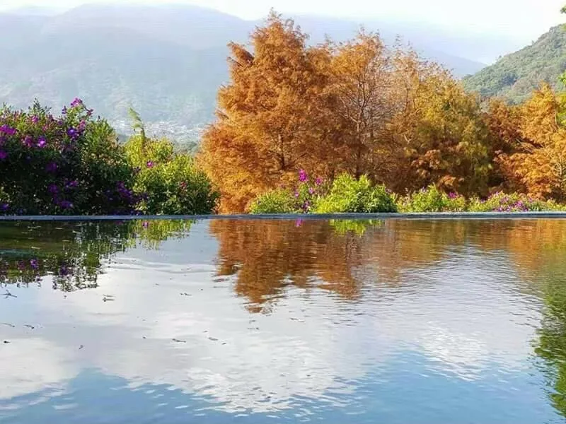 真愛桃花源自然美景 - 真愛桃花源活動場地 真愛桃花源自然美景