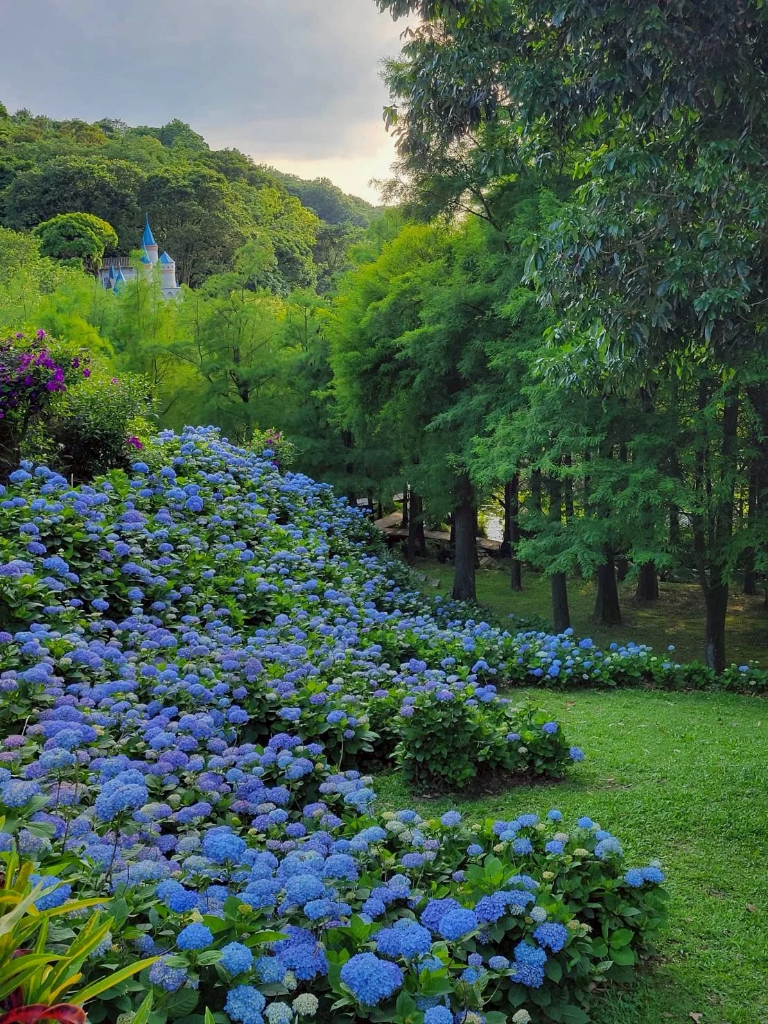真愛桃花源庭園池塘
