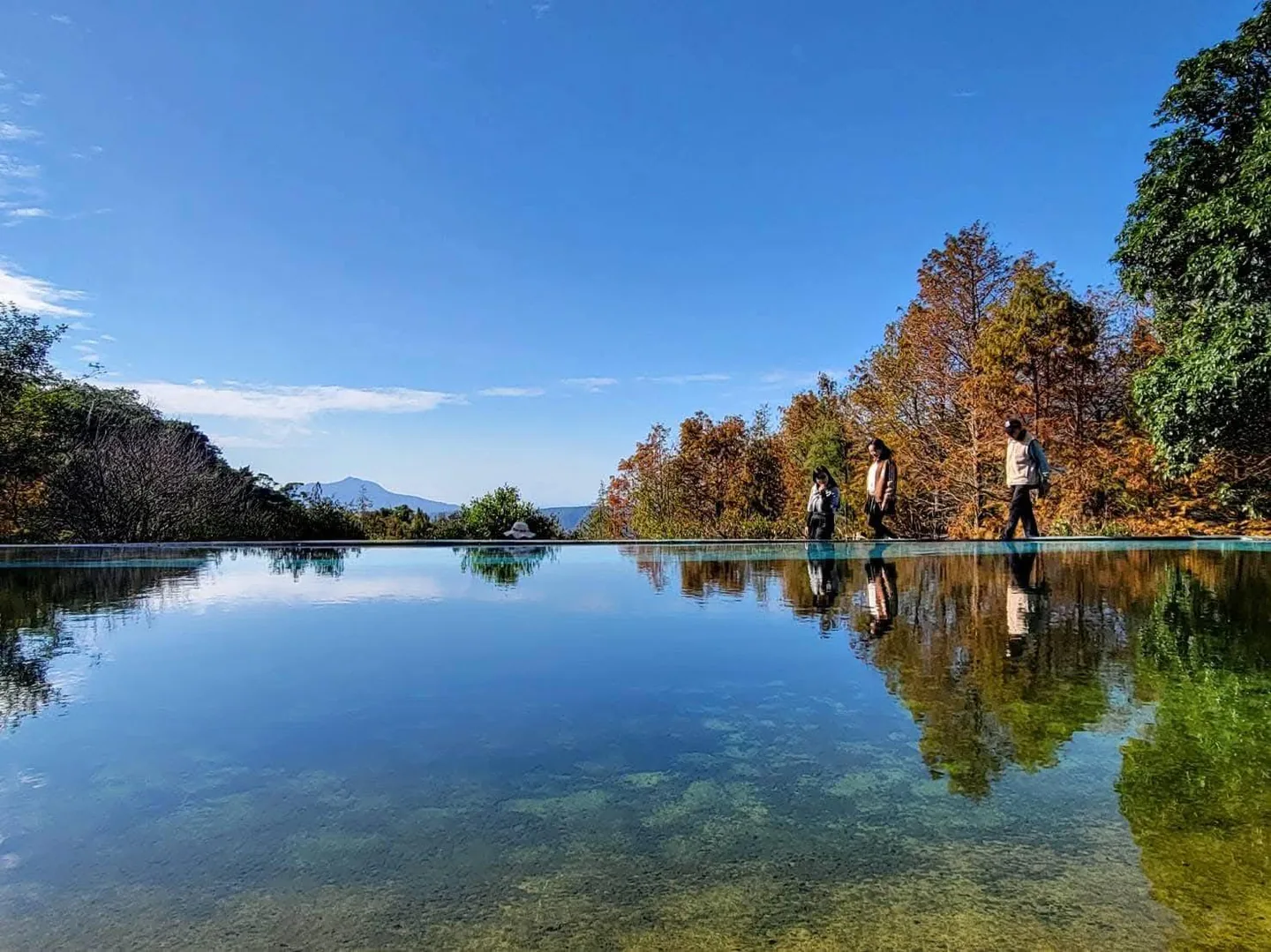 松林鏡面水池 真愛桃花源鏡面水池遠眺陽明山山景,池畔落羽松與天空倒映水面,水池步道可供賓客散步取景