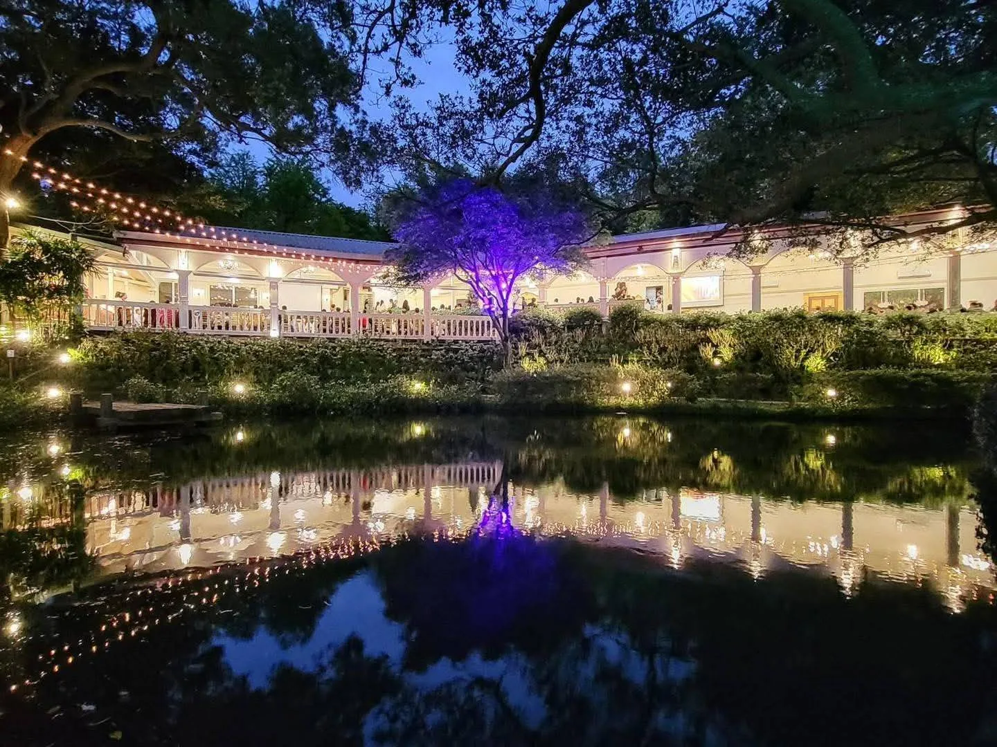 真愛桃花源夜間湖畔實景，歐式長廊建築暖光與紫色樹燈完整倒映湖面——晚宴與夜間活動的場地氛圍