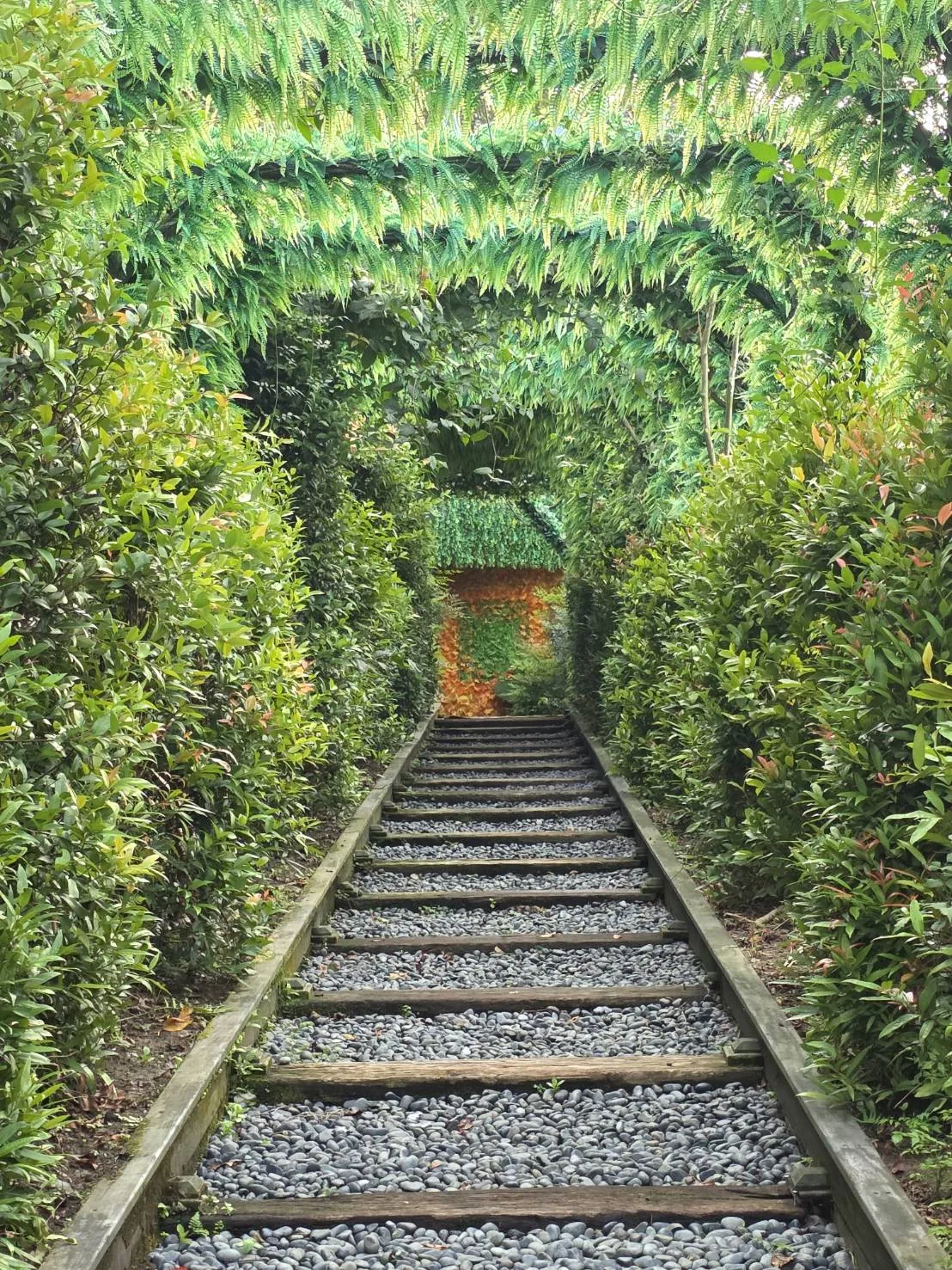 真愛桃花源綠蔭隧道｜台北陽明山婚紗外拍取景點